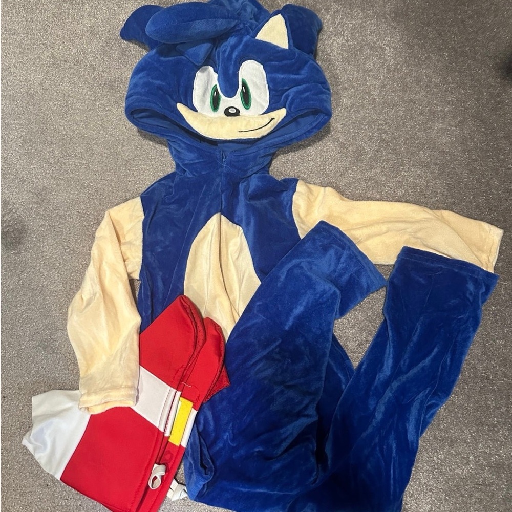 Sonic costume